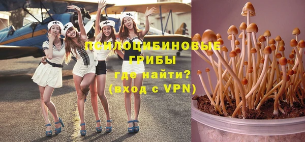 стаф Верхний Тагил