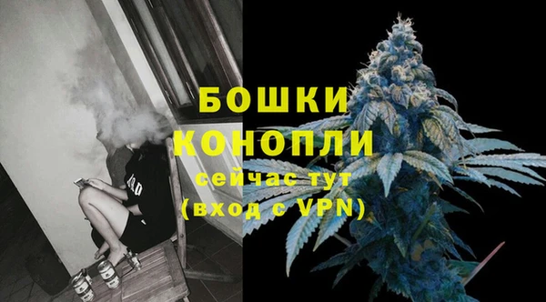 сатива Волоколамск